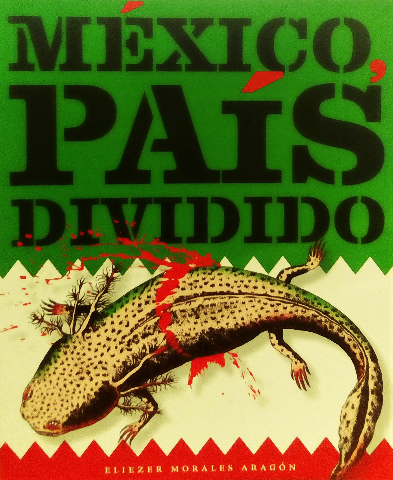 Mexico pais dividido