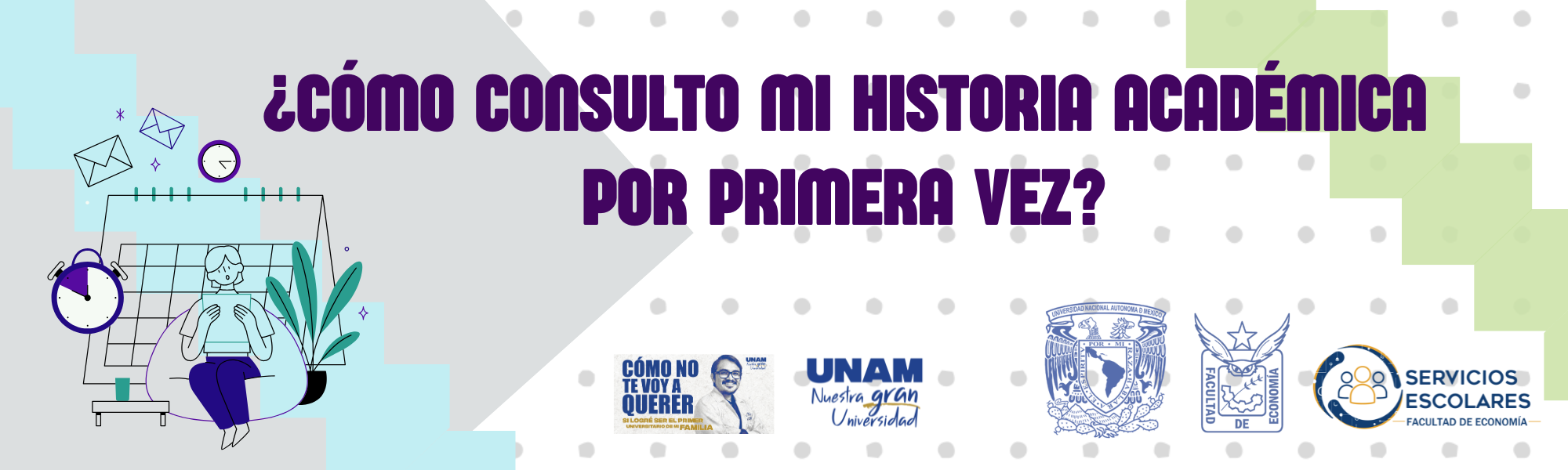 ConsultaHA.png
